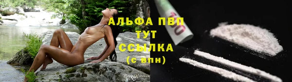 ГАЛЛЮЦИНОГЕННЫЕ ГРИБЫ Новокубанск